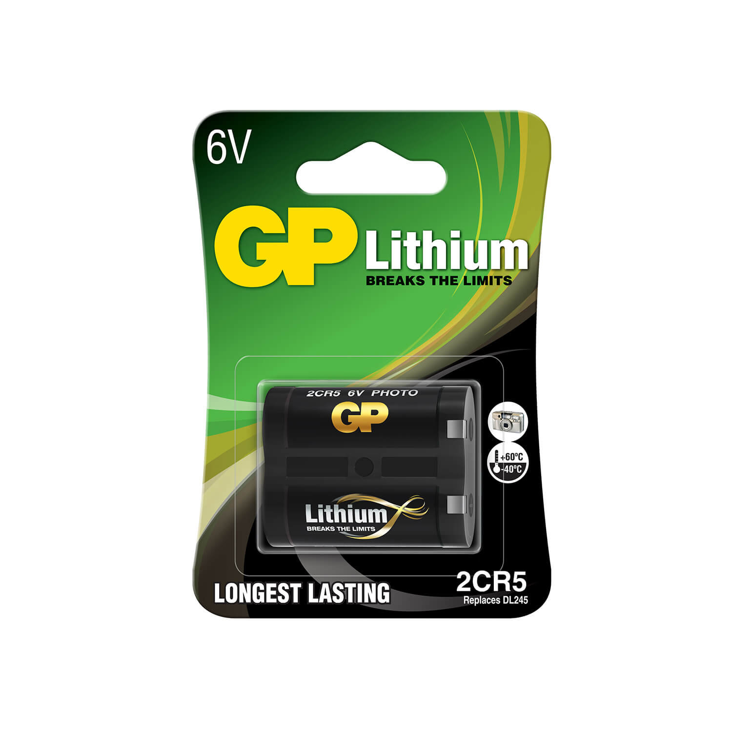 GP Lithium Battery