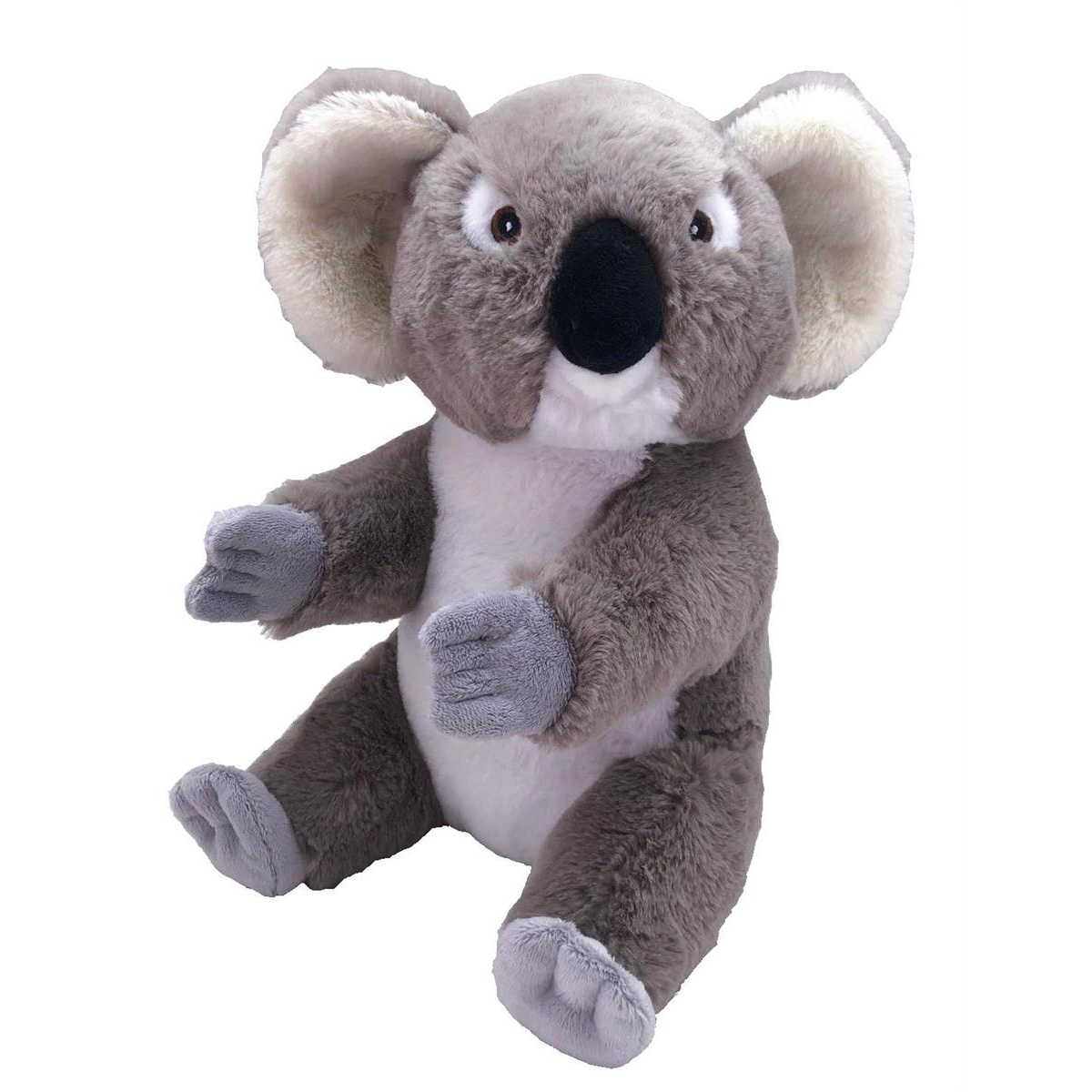 WILD R Ecokins Koala