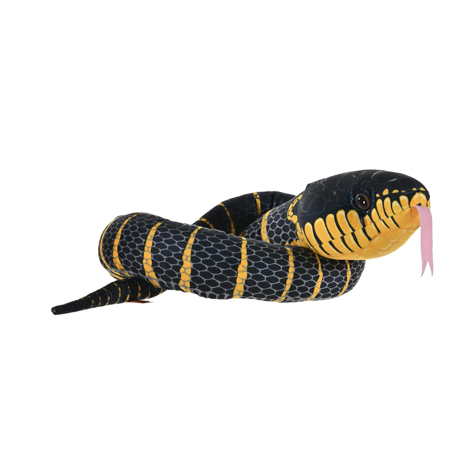 WILD R Snakes Black Fanged