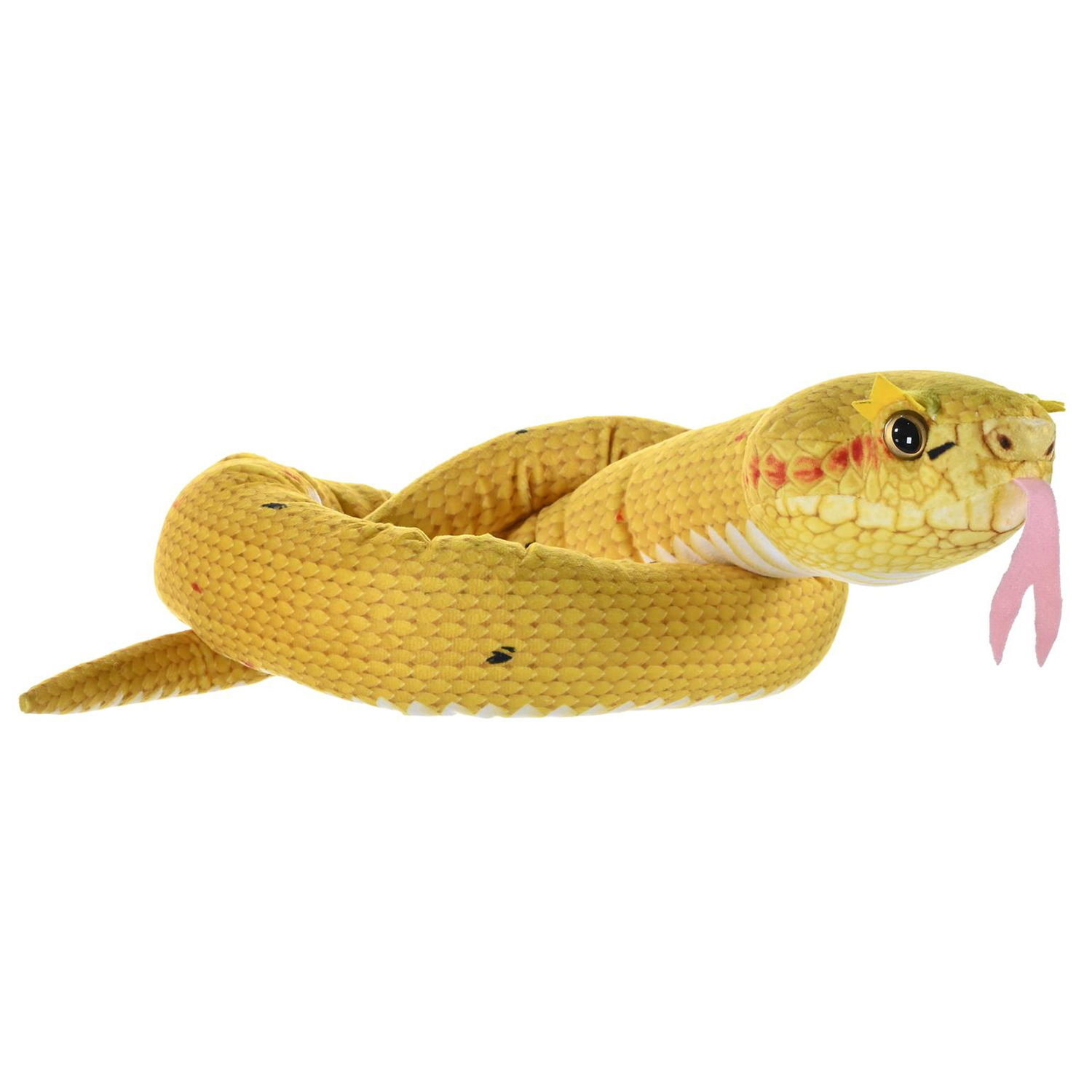 WILD R Snakes Eye Lash Viper