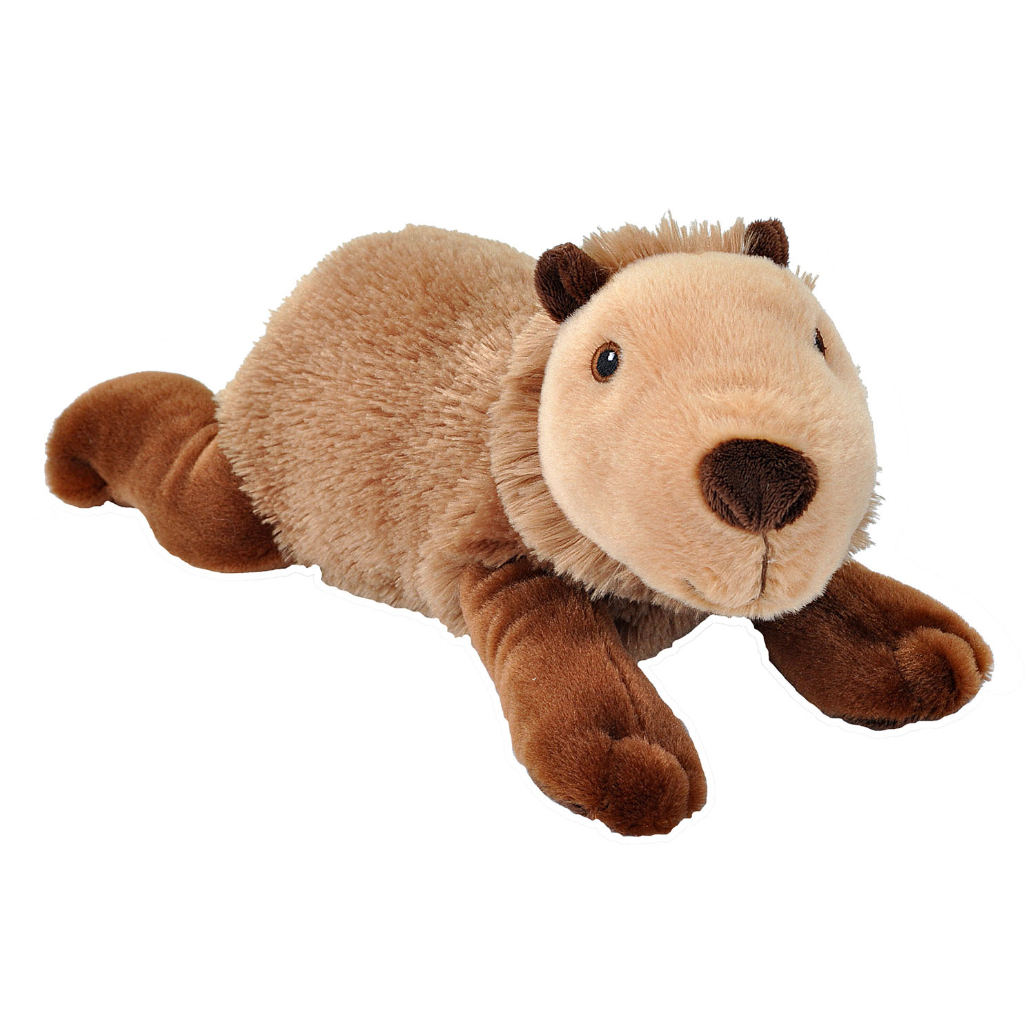 WILD R Ecokins Capybara